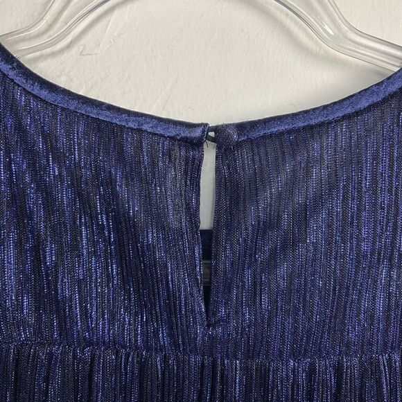 Moulinette Soeurs Anthropologie Blue Metallic Accordion Pleat Long Sleeve Top XS - Picture 6 of 10